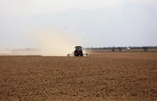 Фото: МСХ РК