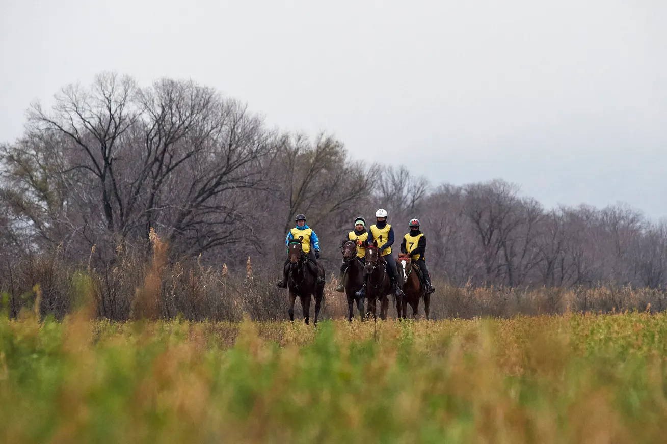 В Казахстане прошли Международные соревнования CEI1 - фото kapital.kz