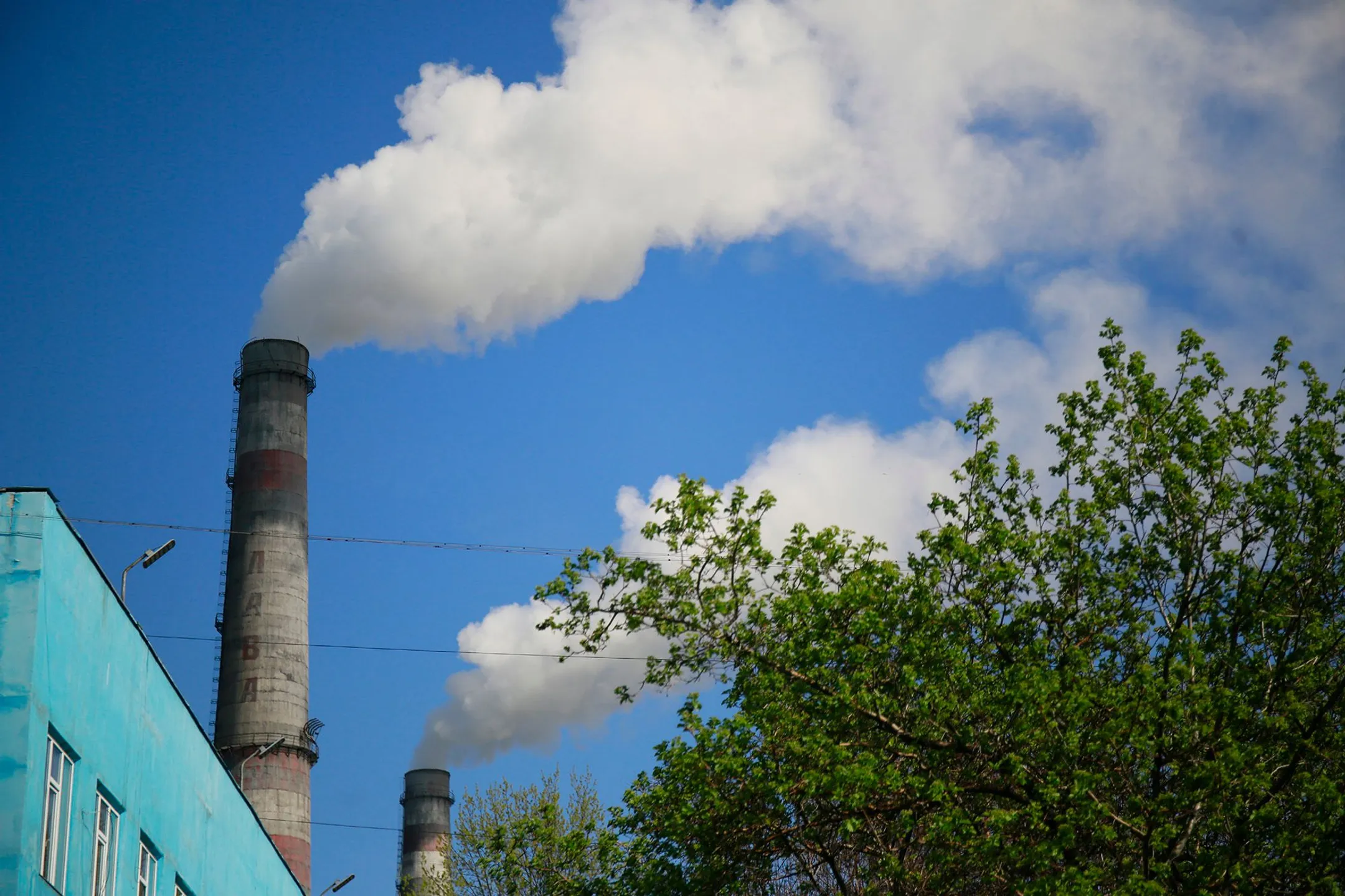 Фото: Руслан Пряников 