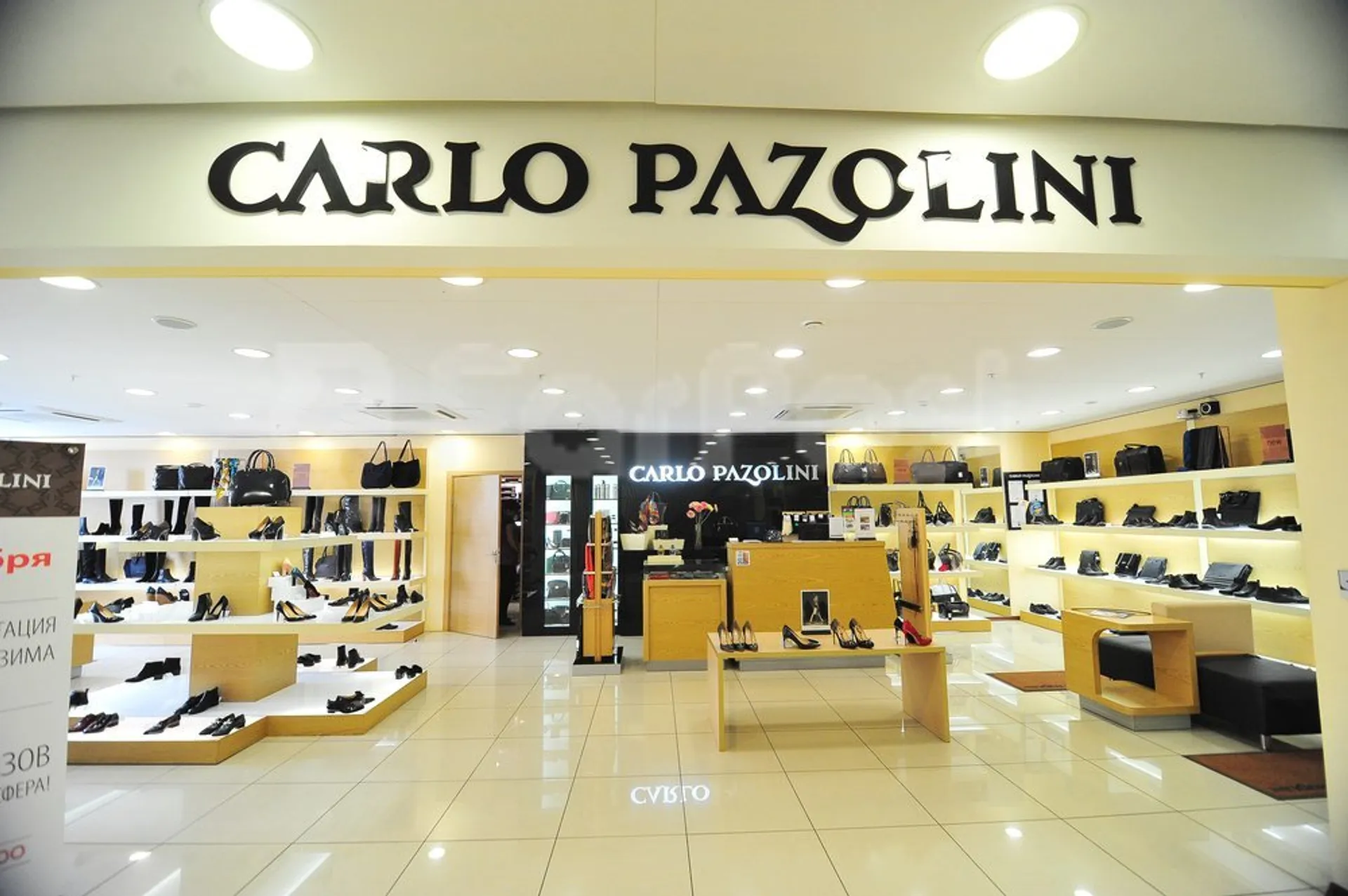 Капитал - Владелец бренда Carlo Pazolini признан банкротом