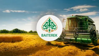 Капитал - Охват растениеводов мерами господдержки вырос в 1,5 раза