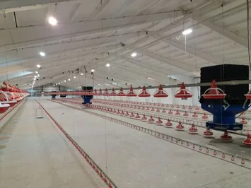 В Жамбылской области запущена новая птицефабрика