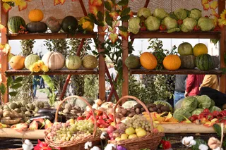 Капитал - В Южном Казахстане собрано 1,3 млн тонн бахчевых культур