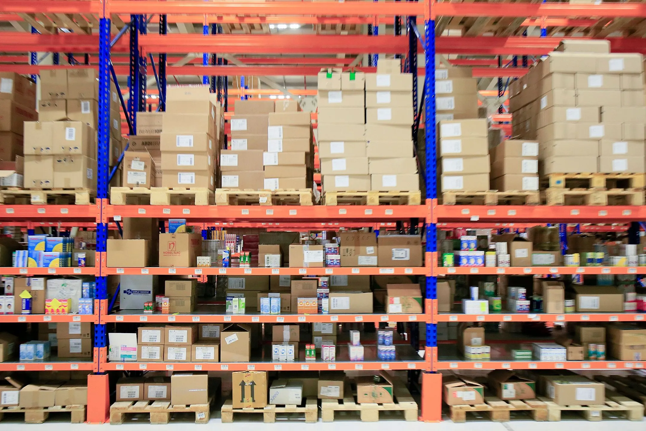 Фото: Руслан Пряников