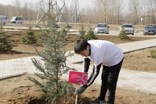 Капитал - ForteBank приступил к высадке 500 деревьев в Павлодаре