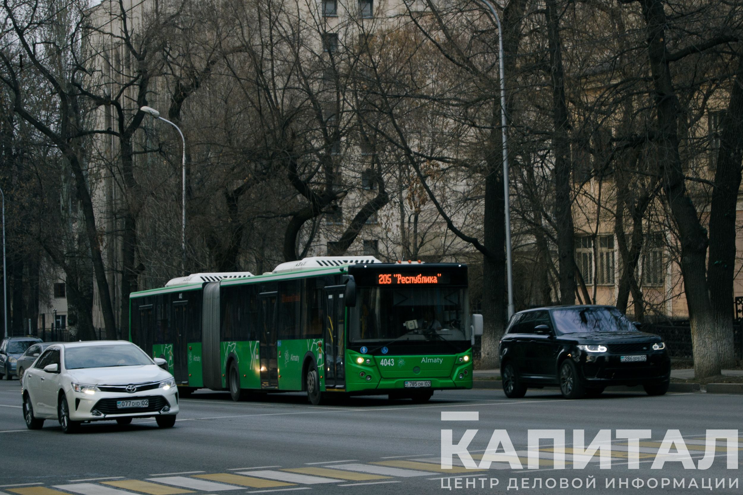 Фото: Валерия Змейкова