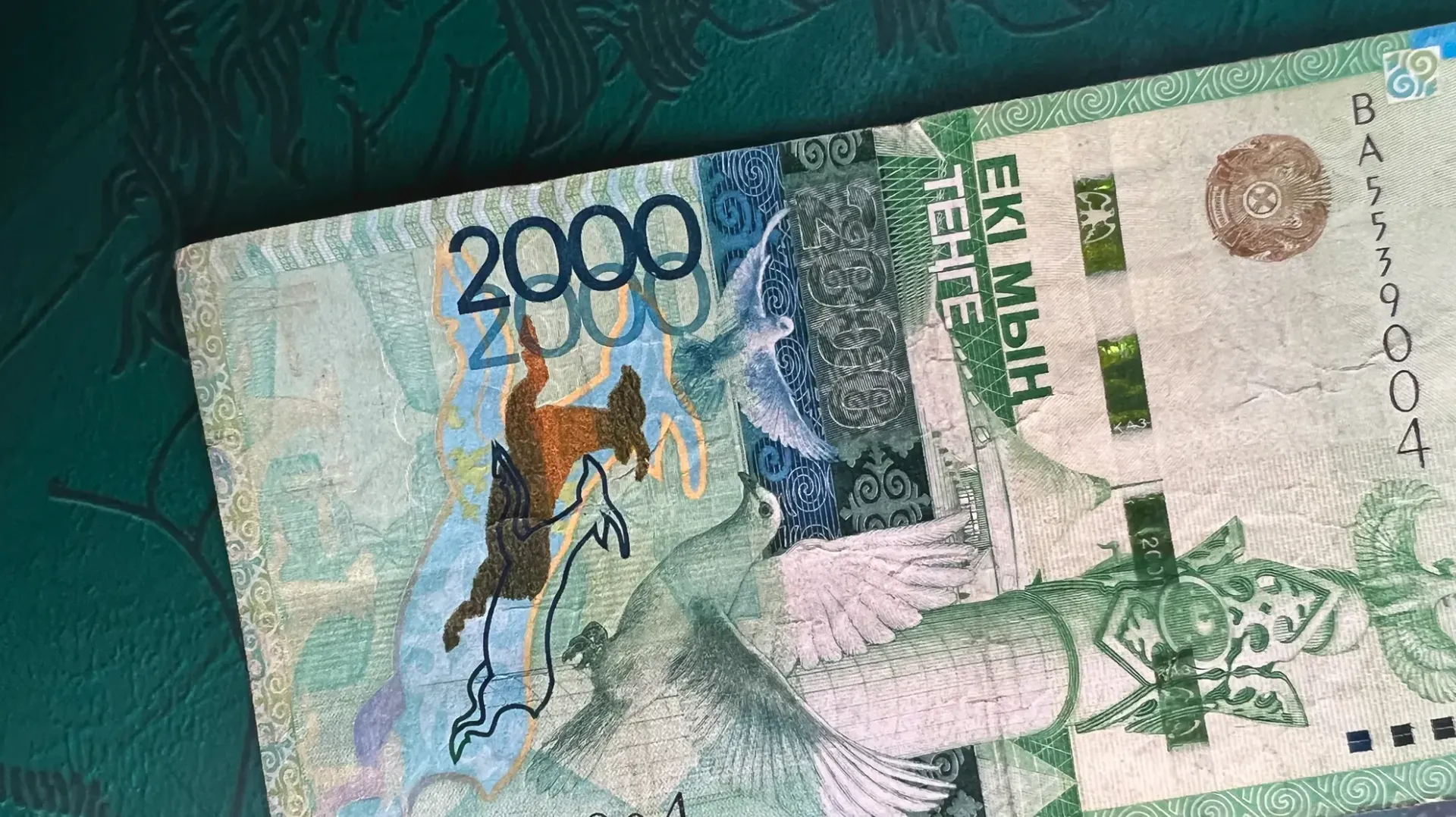 Фото: Валерия Змейкова