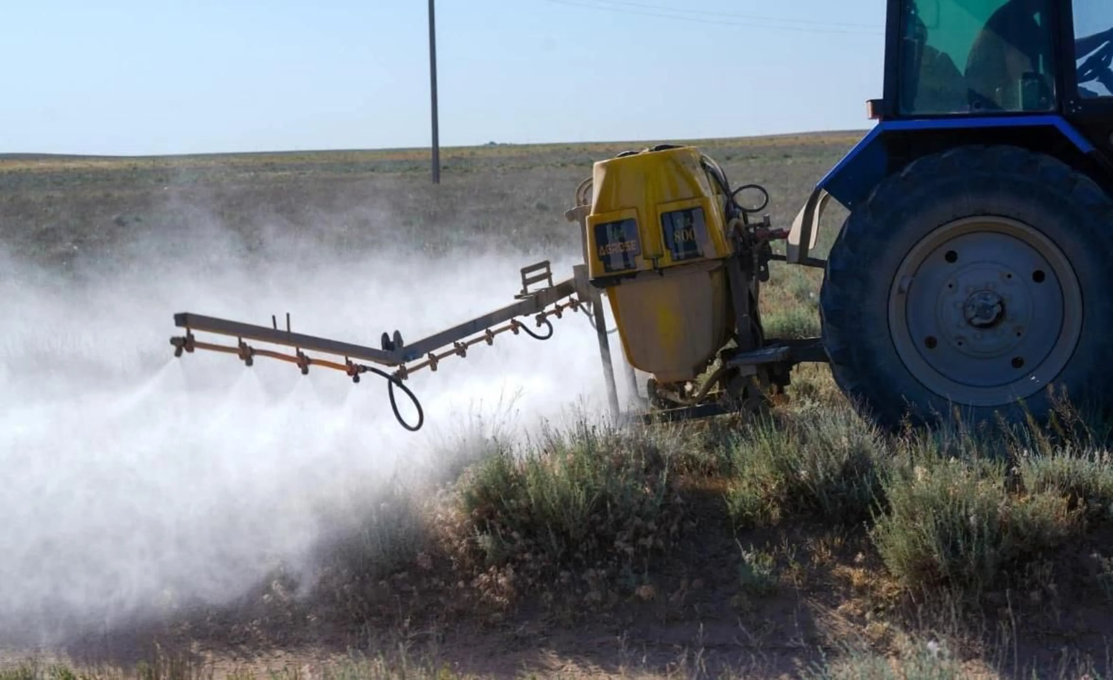 Капитал - Сколько площадей обработали против саранчи в Казахстане 