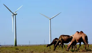 Капитал - В Мангистауской области – серьезные планы по развитию зеленой энергетики
