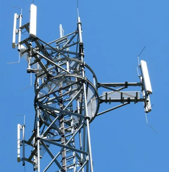 Капитал - Алматинец обокрал сотового оператора на 25 млн.