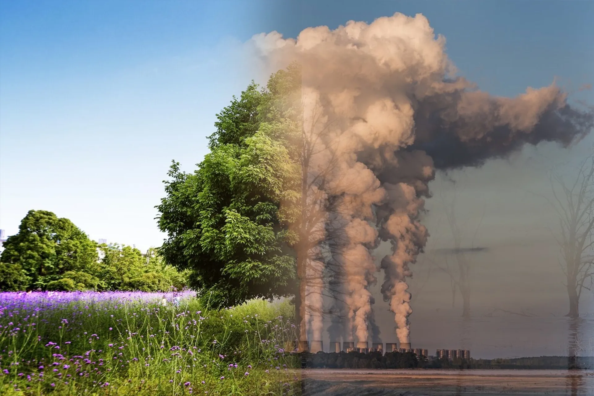 Капитал - Меры по адаптации к изменению климата в ЦА