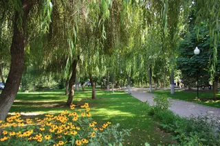 Капитал - За создание парков взялись застройщики Алматы