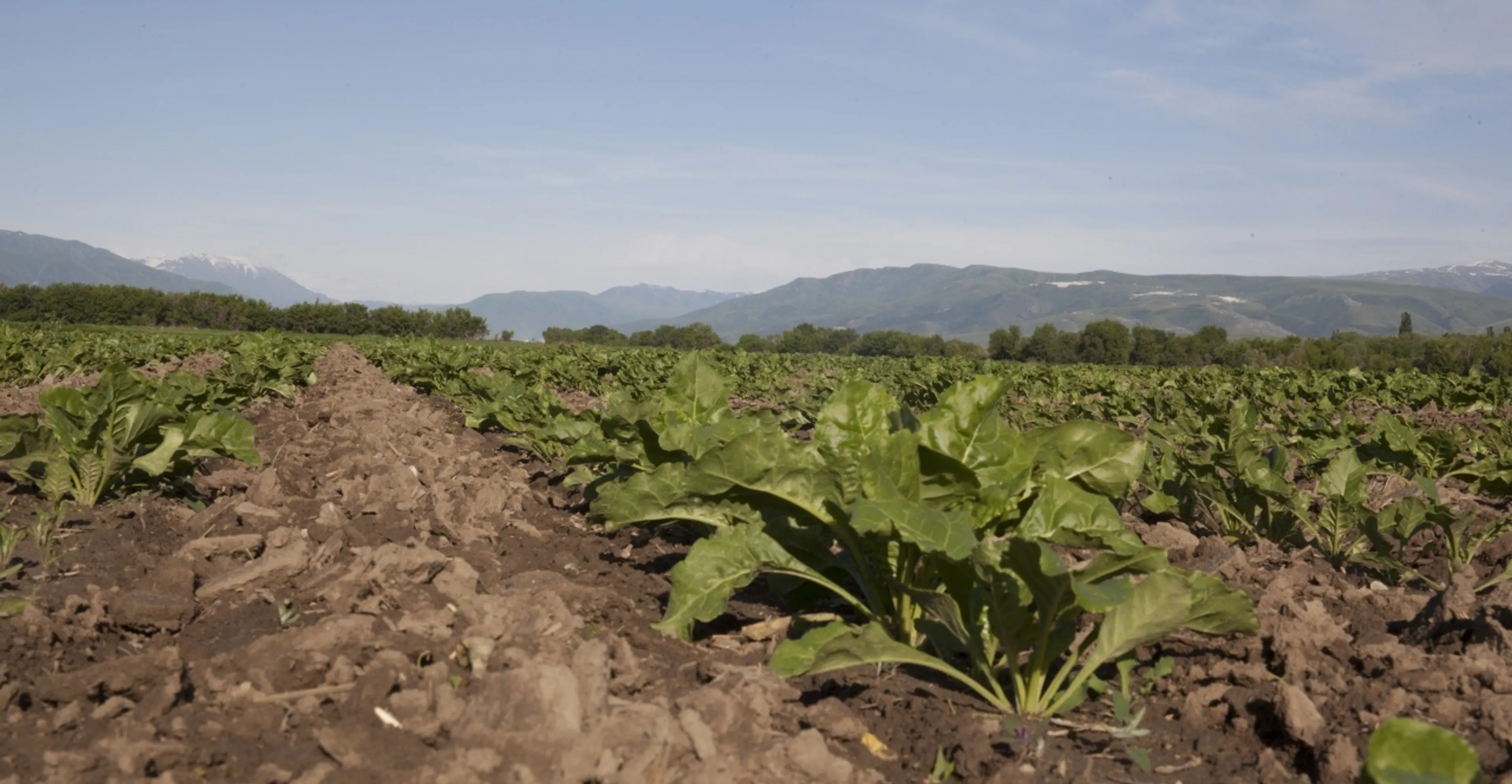 Капитал - Почти в три раза увеличены объемы финансирования весенне-полевых работ