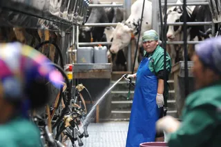 Капитал - Интерес микрофинансовых организаций к кредитованию сельчан возвращается