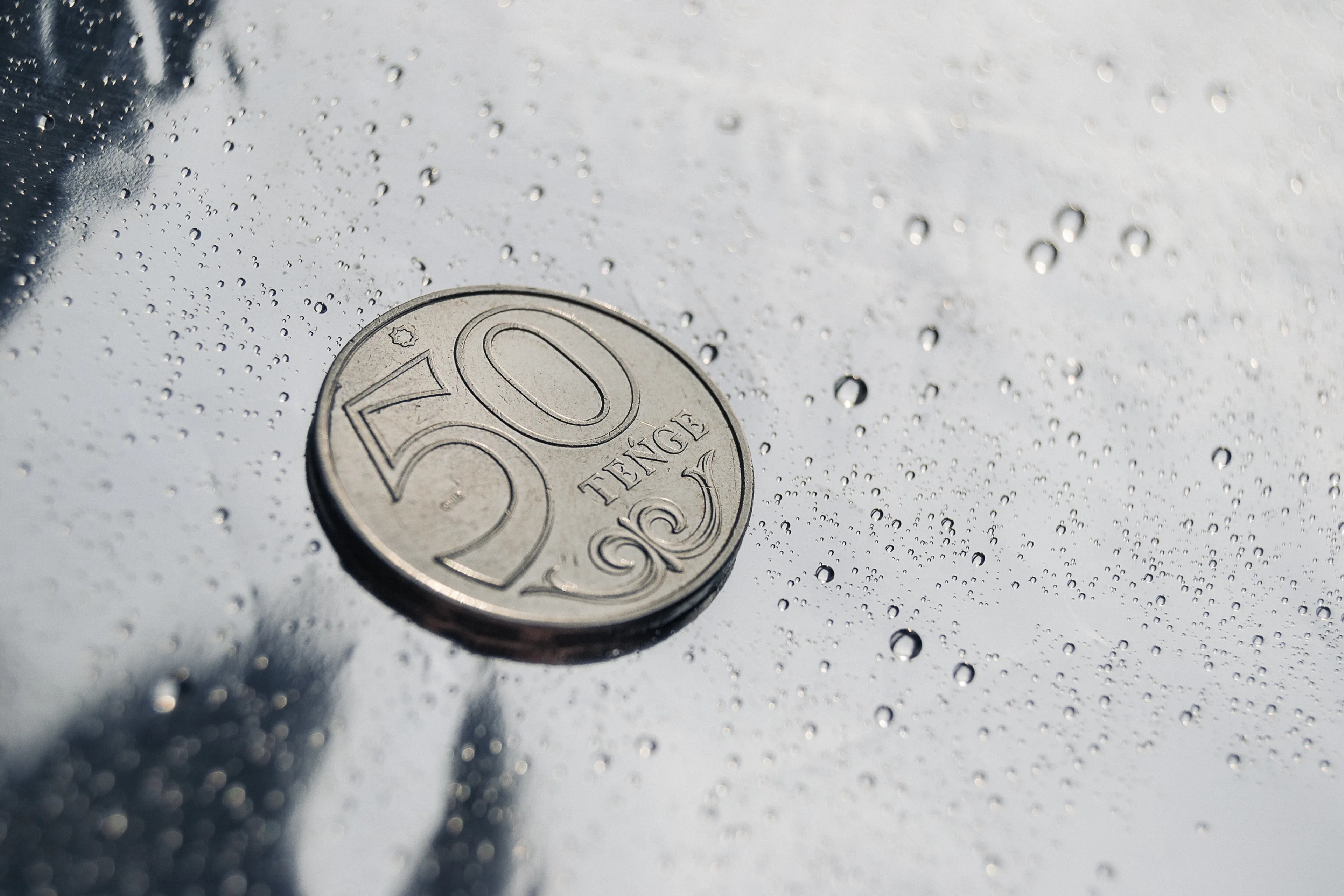 Фото: Валерия Змейкова