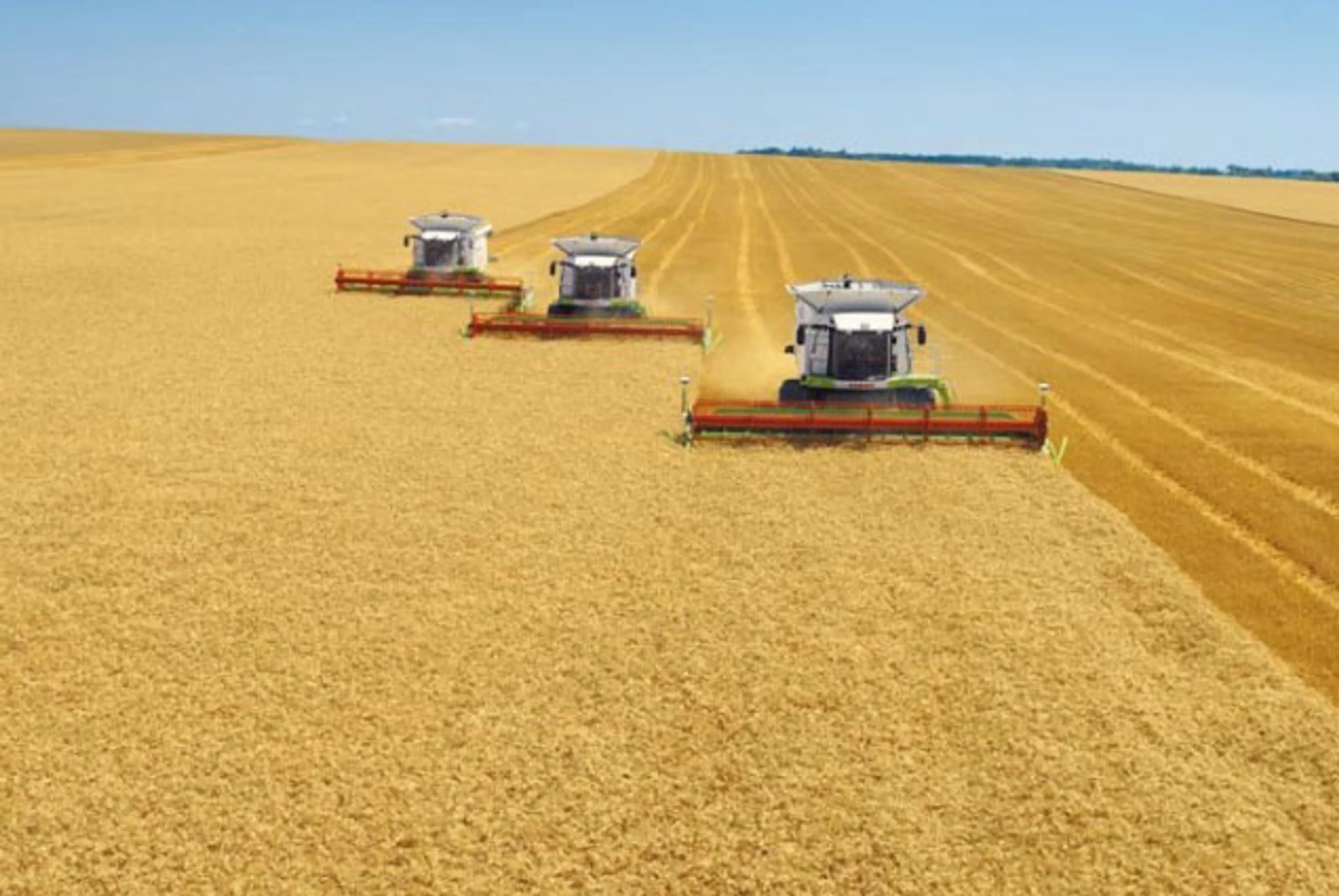 Капитал - Сельское хозяйство поддержало товарное производство