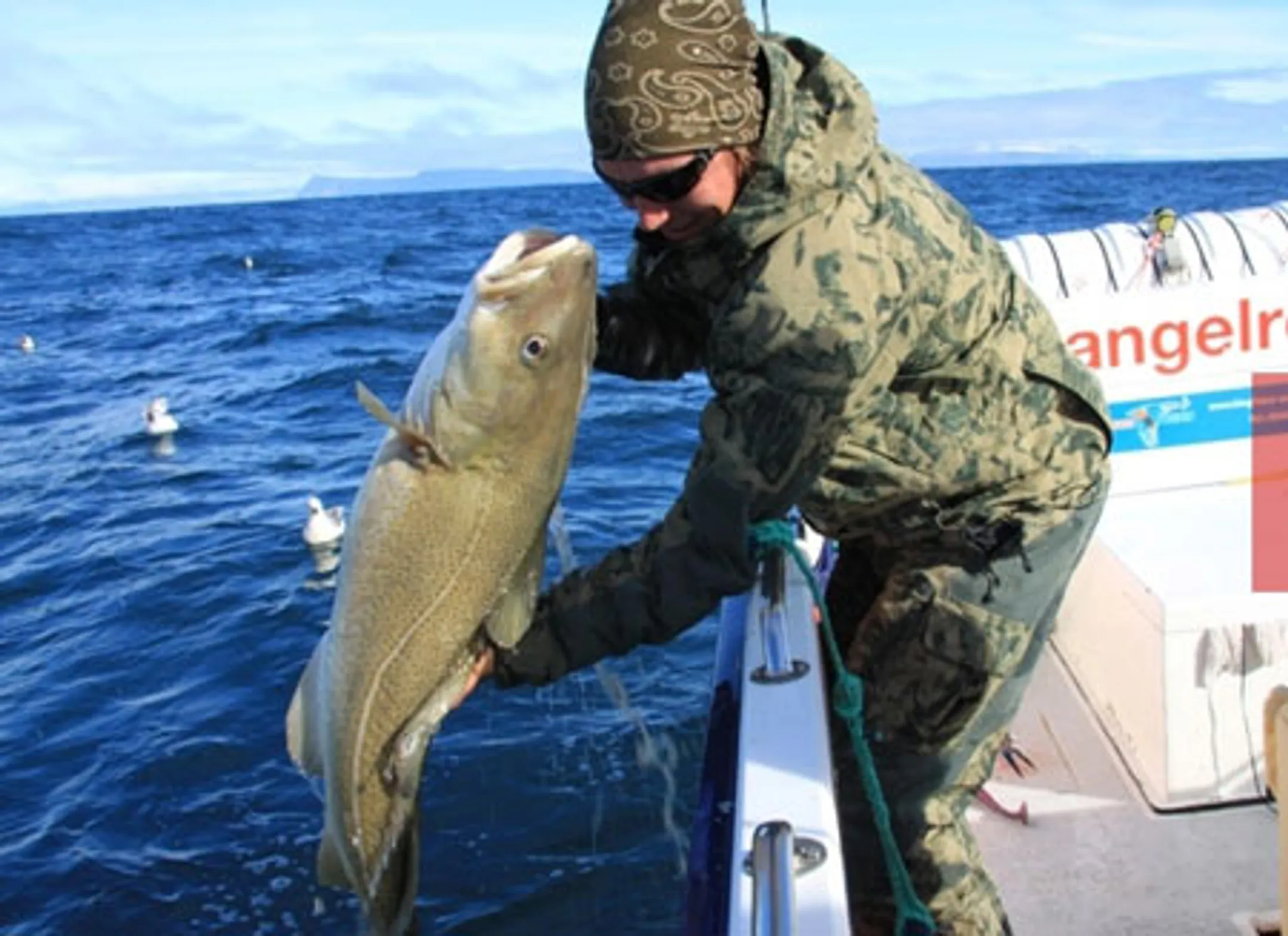 Исландия откажется вступить в ЕС из-за рыбы - Image Kapital.kz