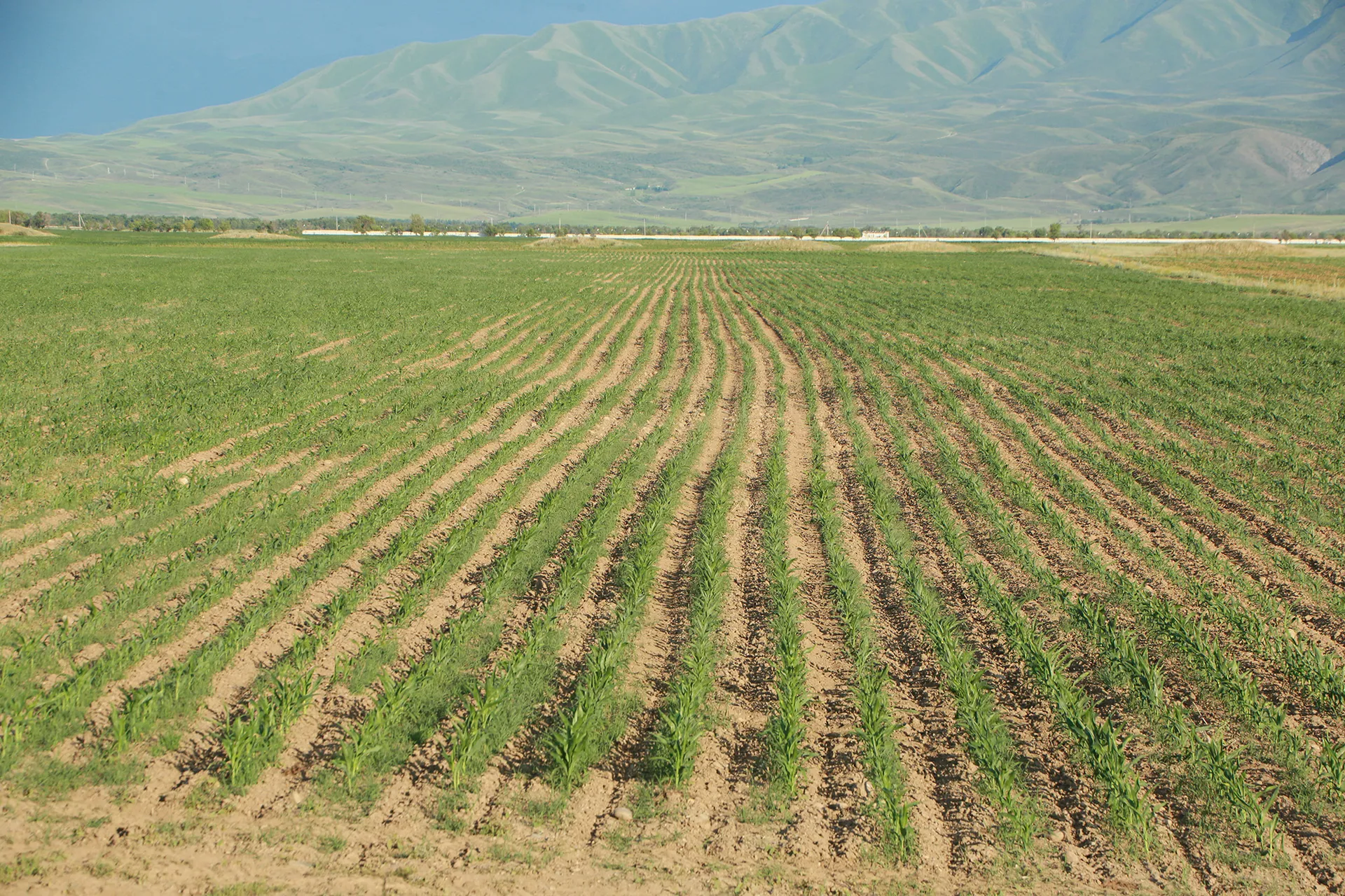 Фото: Руслан Пряников