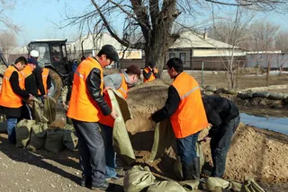 Капитал - Подсчитан ущерб от паводка в Павлодарской области