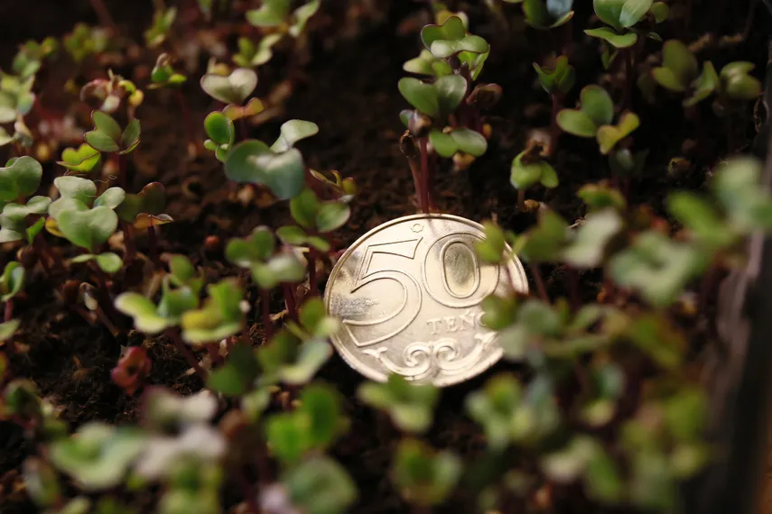 Фото: Руслан Пряников