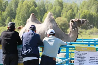 Фото: Руслан Пряников