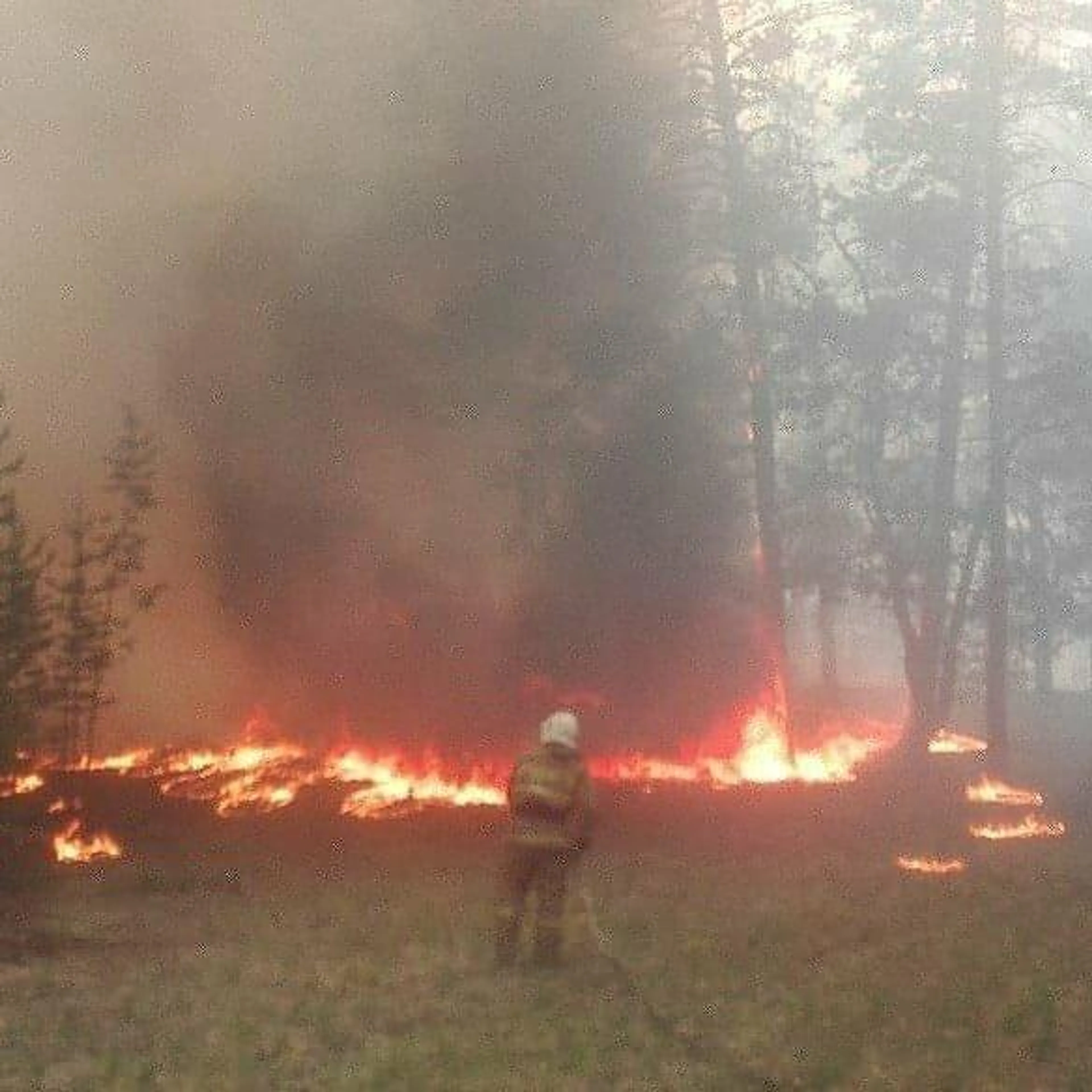 Капитал - В Восточном Казахстане тушат лесной пожар