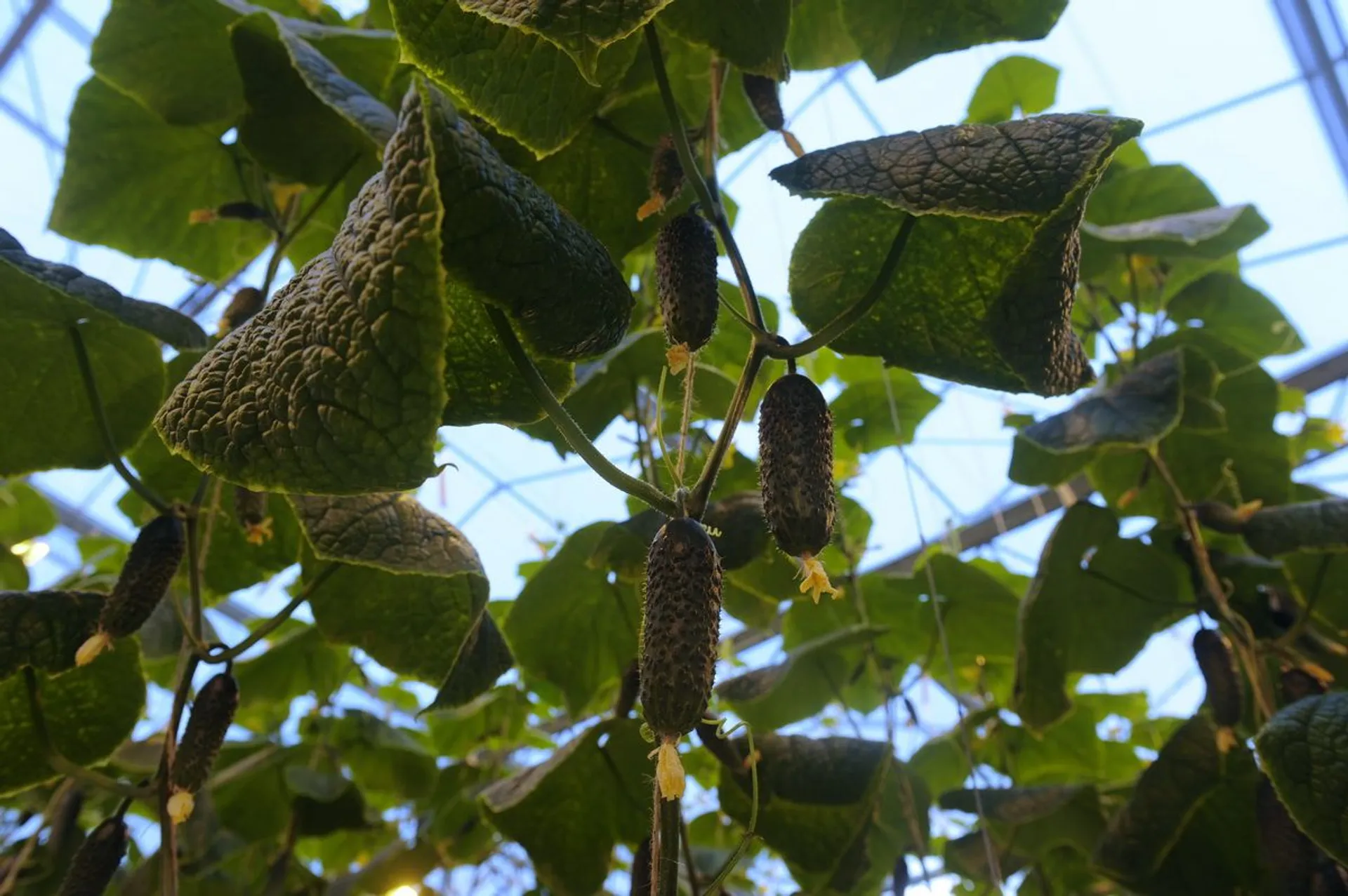Фото: Владимир Третьяков
