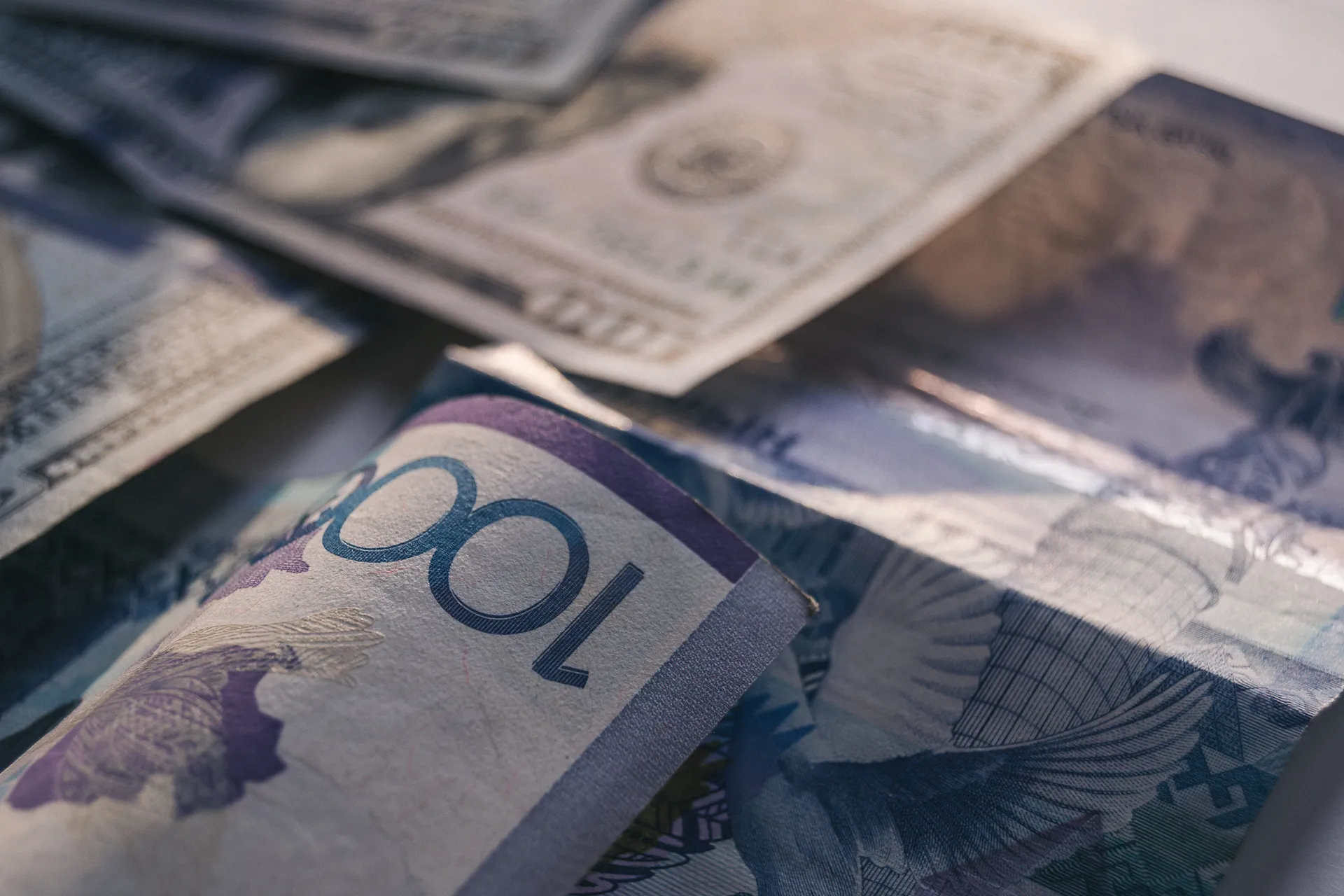 Фото: Валерия Змейкова