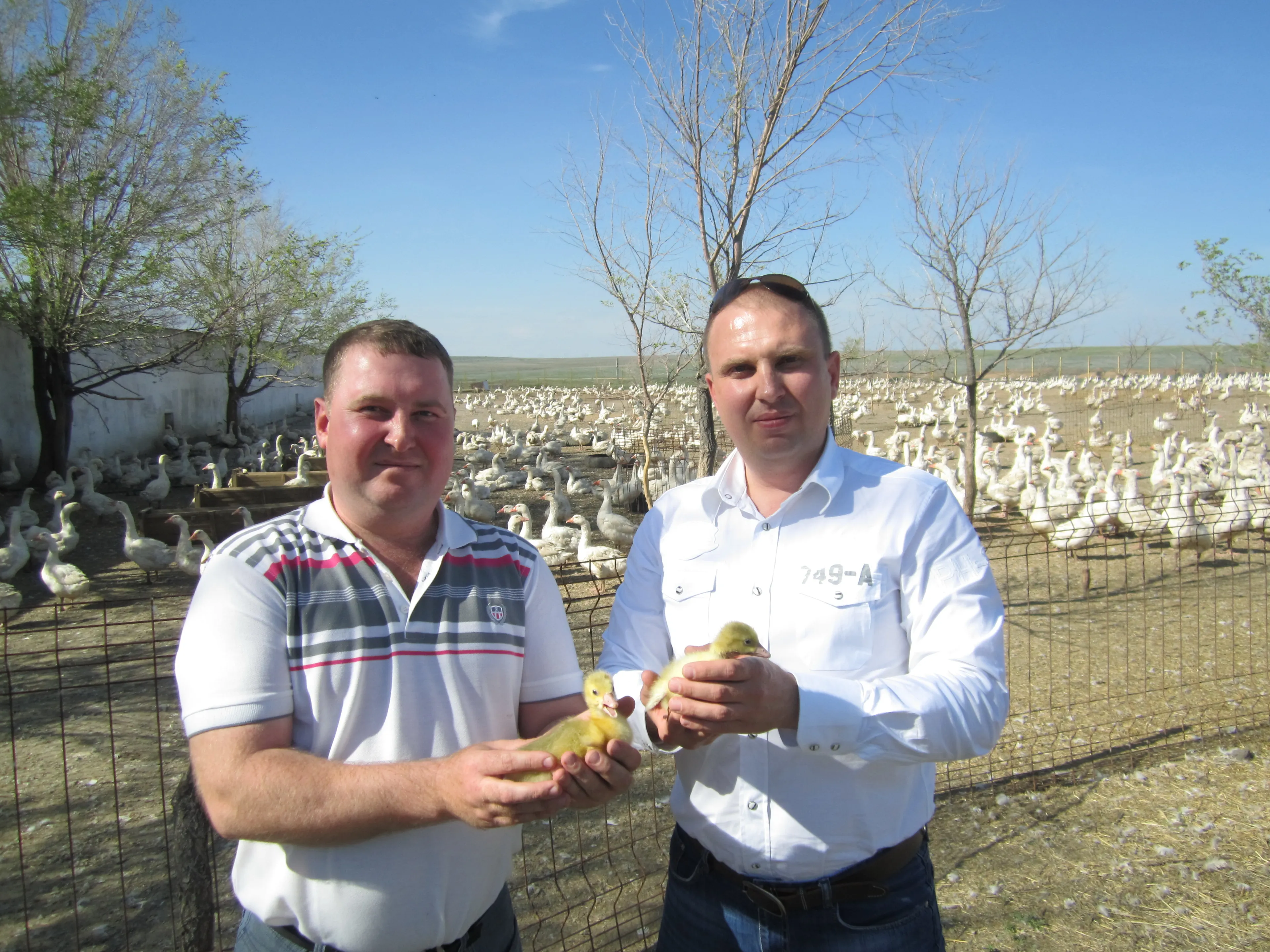 Капитал - Как братья Сергины строят сельхозкооперацию по германскому примеру