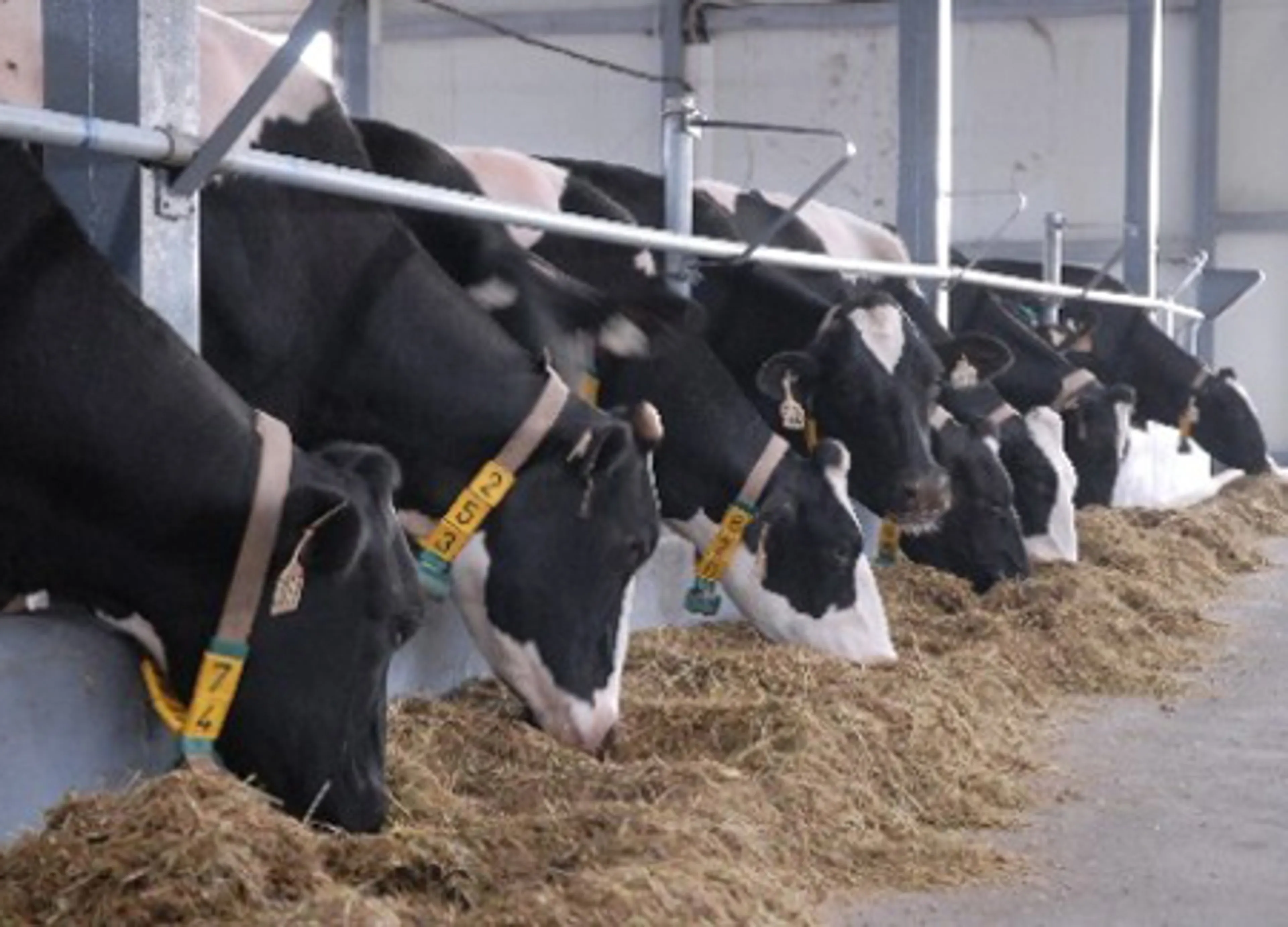 Капитал - Помочь казахстанскому бизнесу не деньгами, а действием!