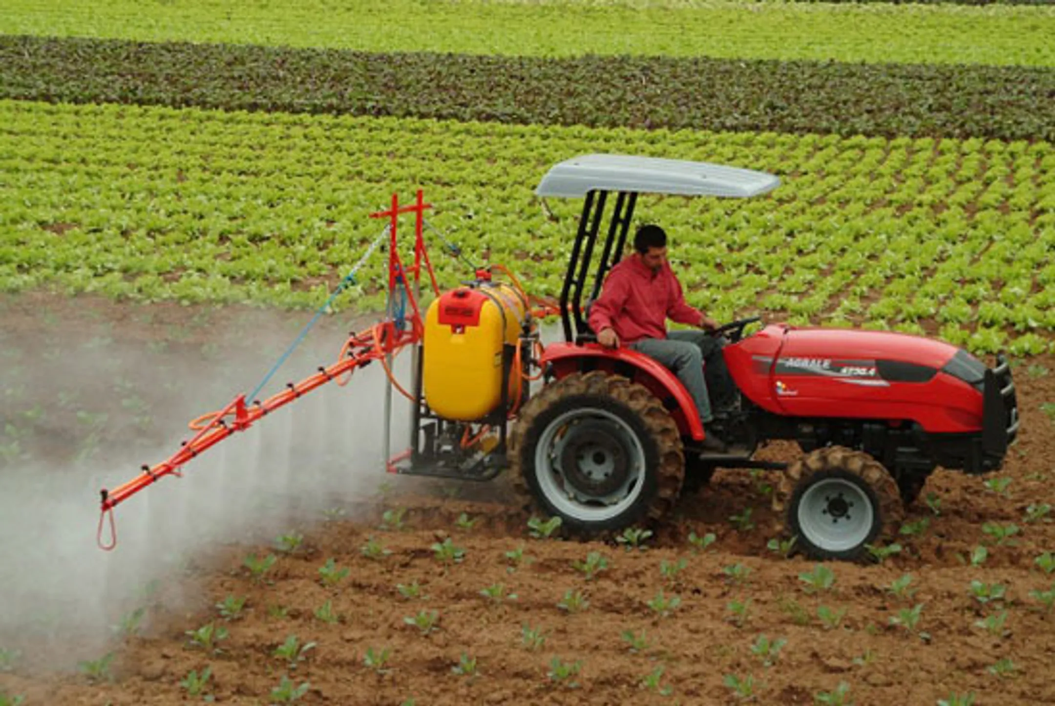 Италия потеряла 1,25 млрд евро из-за эмбарго России - Image Kapital.kz