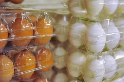 В Казахстане могут появиться яйца XXL