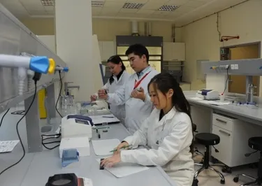 В Специальных экономических зонах запущено 120 производств