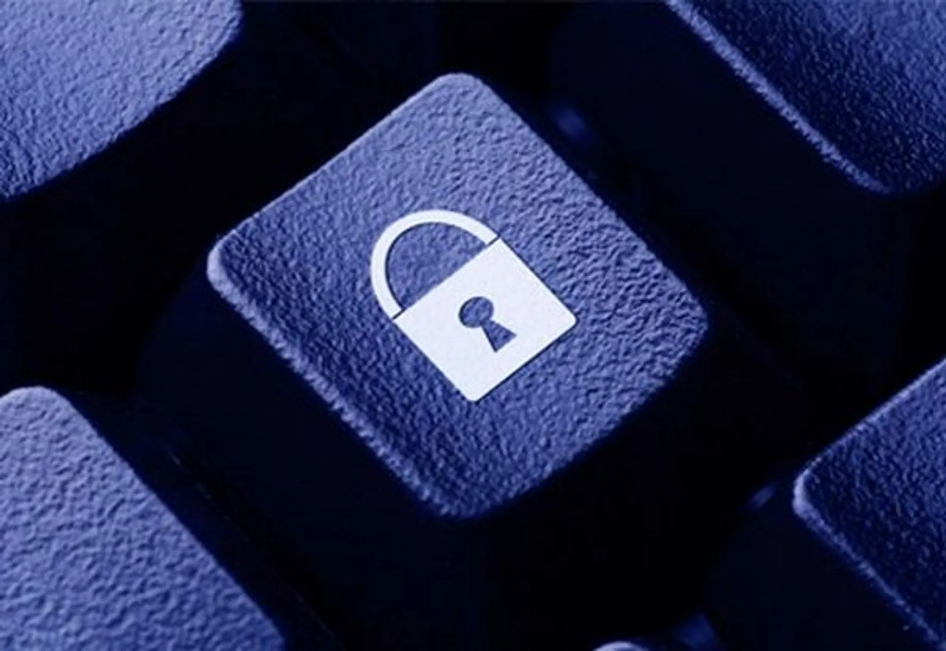 Капитал - IT-гиганты поддержали закон о доступе к данным пользователей