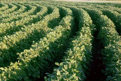 Иран готов к сотрудничеству с Мангистауской областью