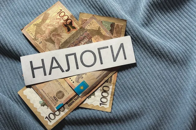 Фото: Валерия Змейкова