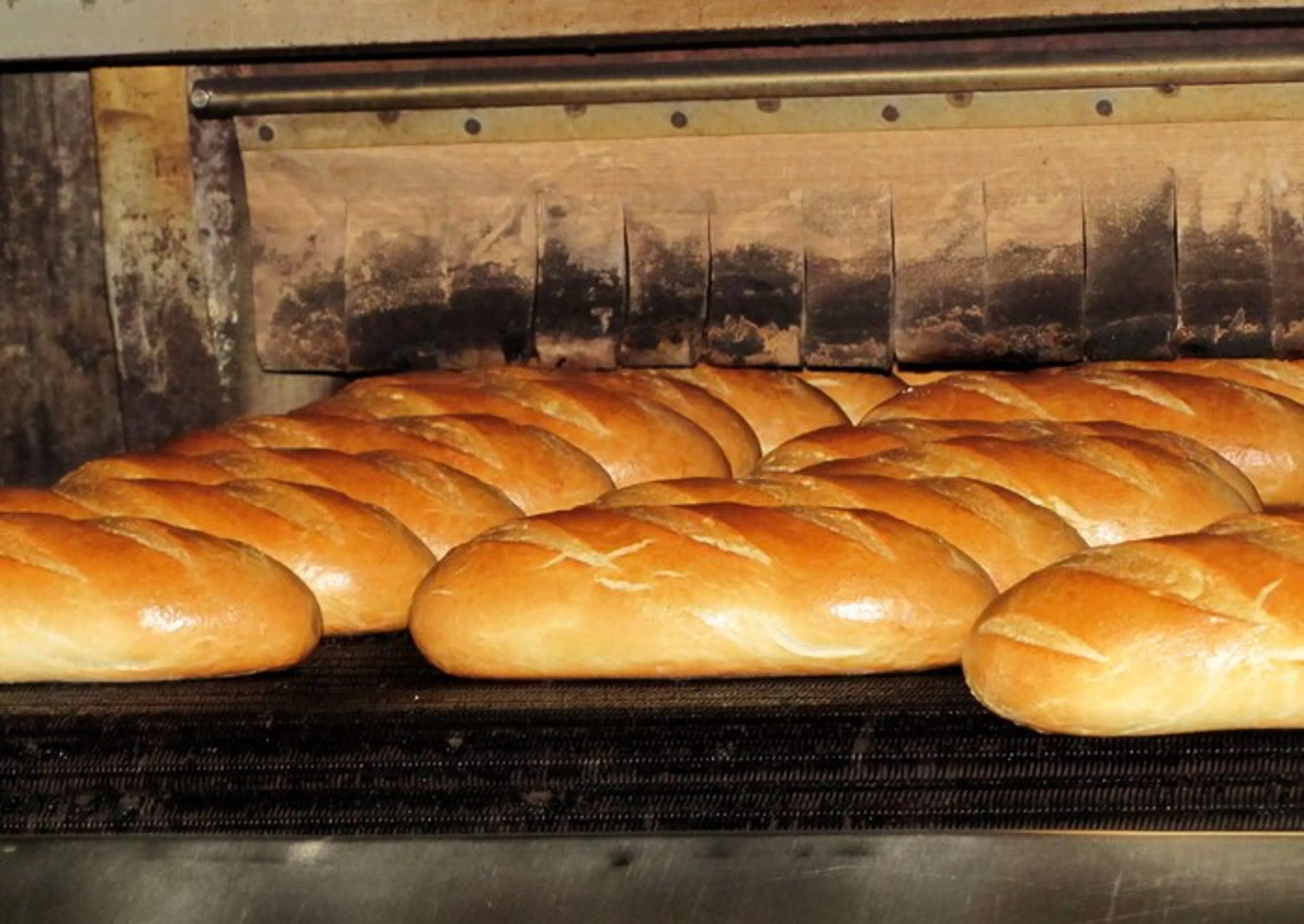 Капитал - В Астане стали больше производить хлеба и молока