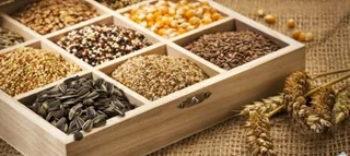 Капитал - Инвесторы вложат в развитие семеноводства $25 млн