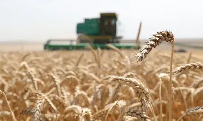 В Казахстане одобрено 65 проектов по «экономике простых вещей»