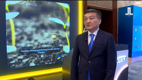 Фото: пресс-служба правительства