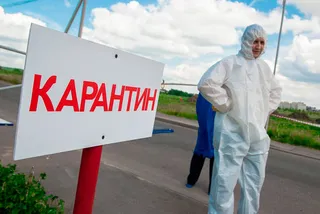 Капитал - В Кыргызстане не смогли определить источник заражения чумой