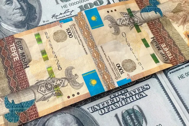 Фото: Валерия Змейкова