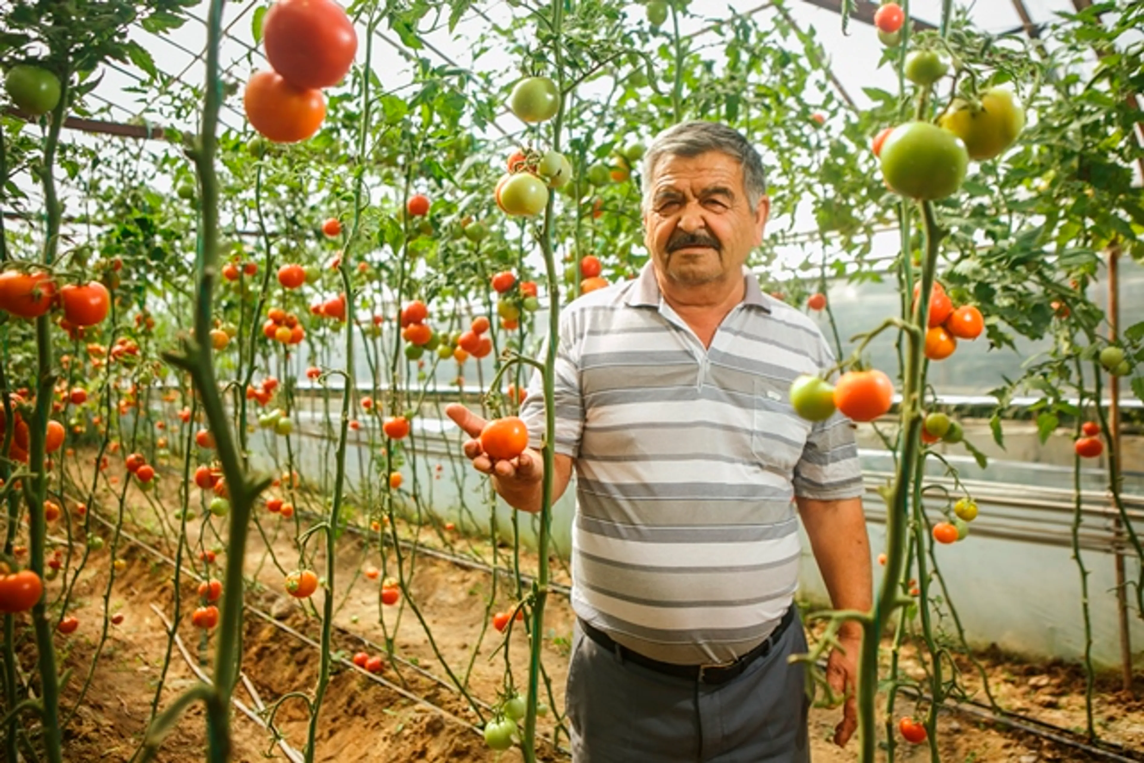 Капитал - Валихан Асаев: Мы можем жить как в Израиле, но, наверное, не хотим