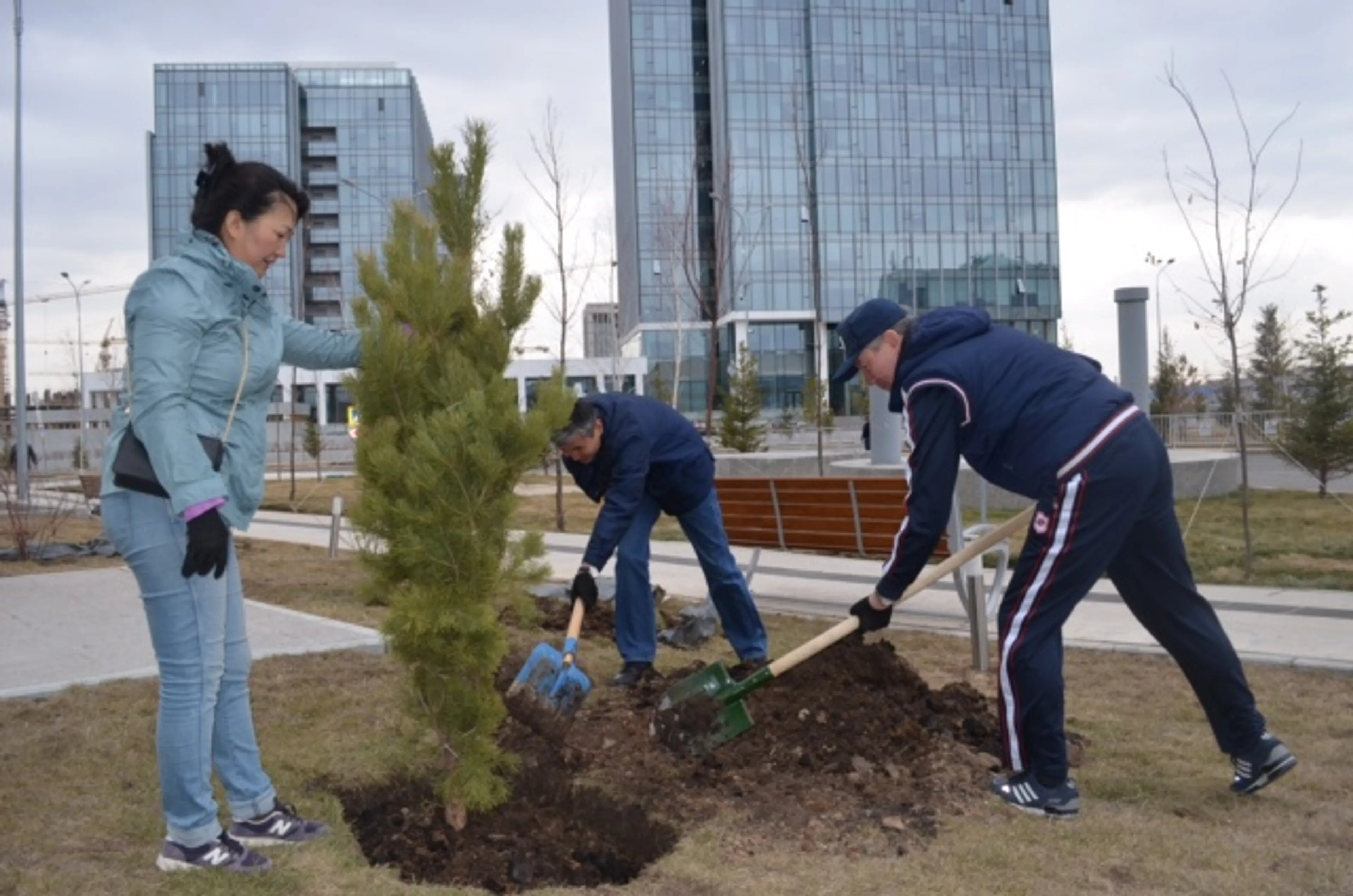 Капитал - Возле объектов ЭКСПО высажено свыше 200 саженцев