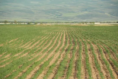 Фото: Руслан Пряников