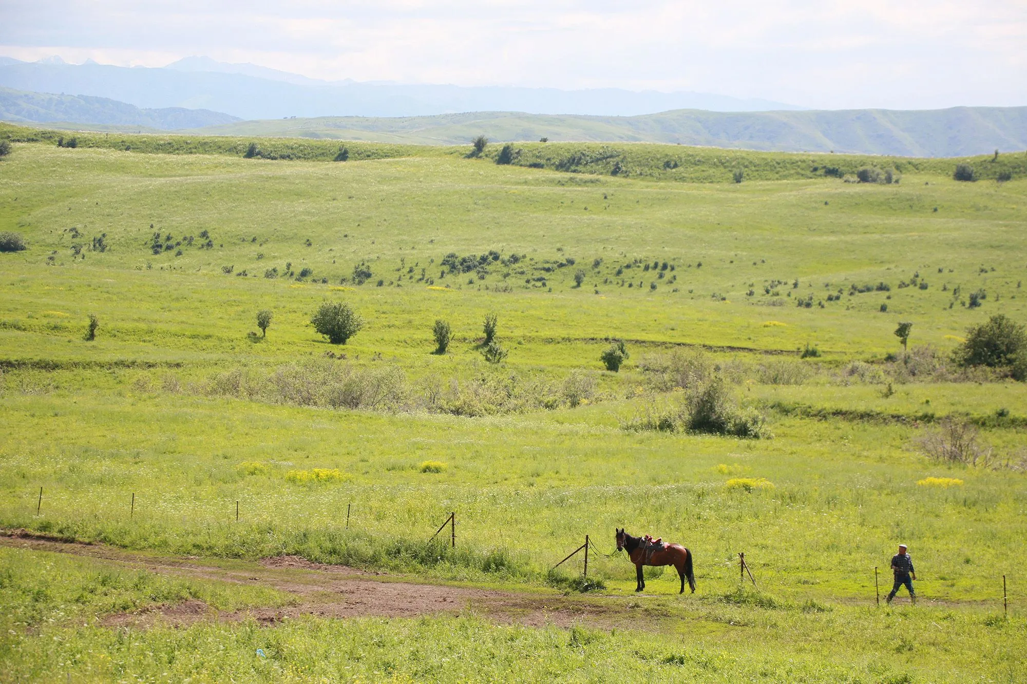В Улытау государству вернули 90 тысяч га неиспользуемых земель