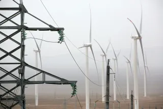 Фото: Руслан Пряников