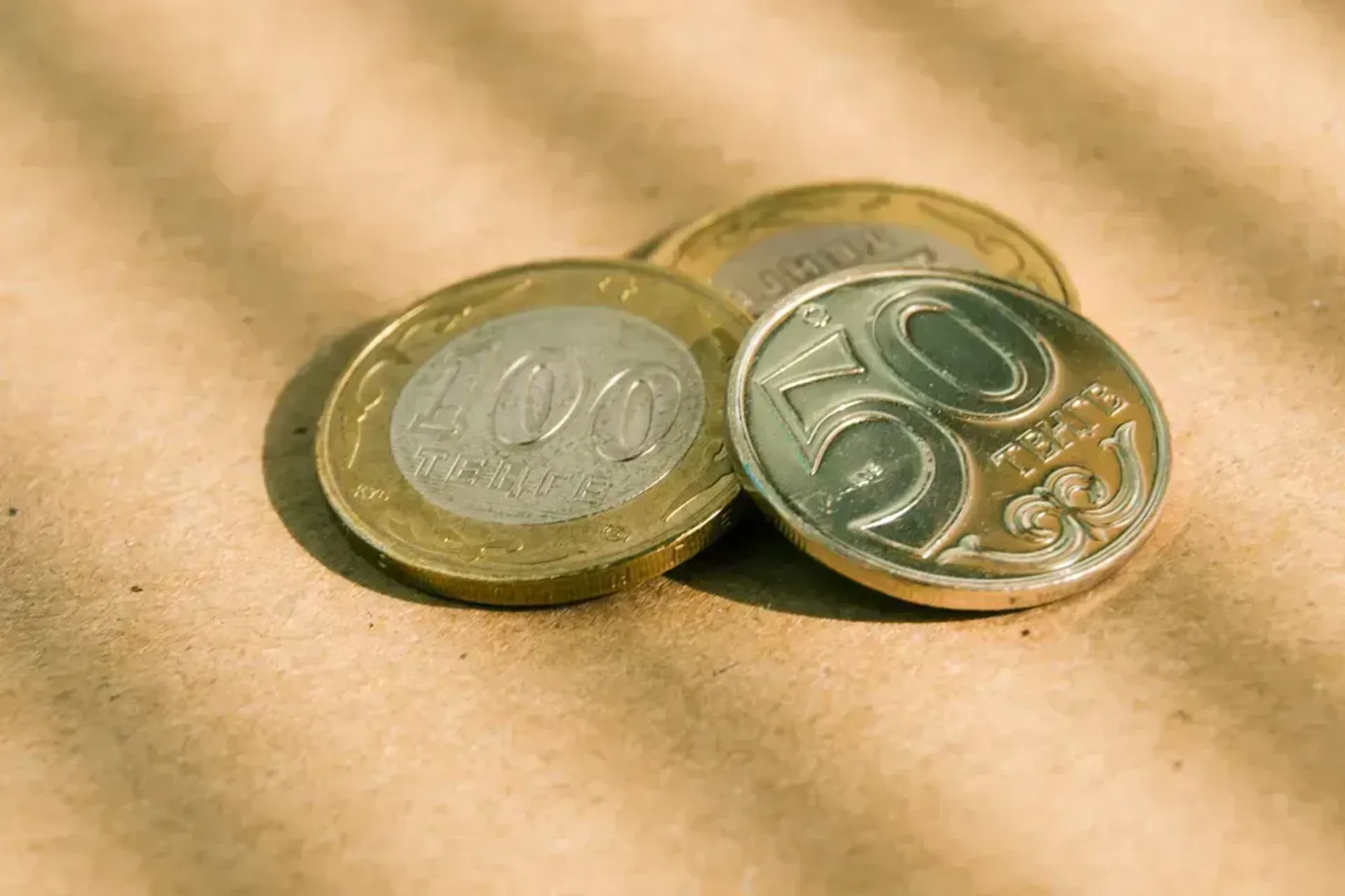 Фото: Валерия Змейкова