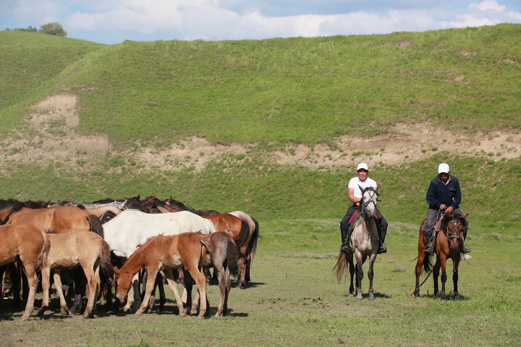 Фото: Руслан Пряников