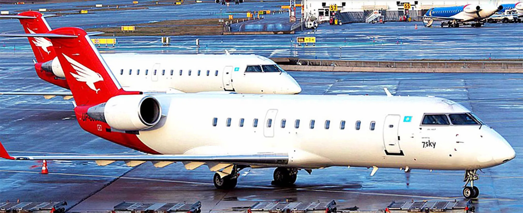 SKYBUS могут запретить полеты в Батуми - Image Kapital.kz